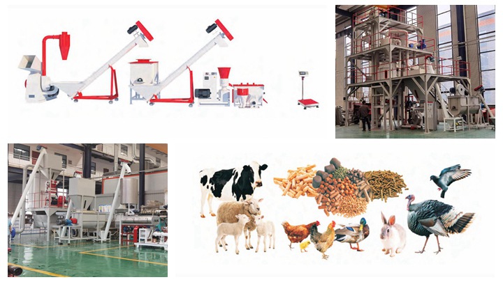 dry type Trout feed pelletizer machine in Zambia